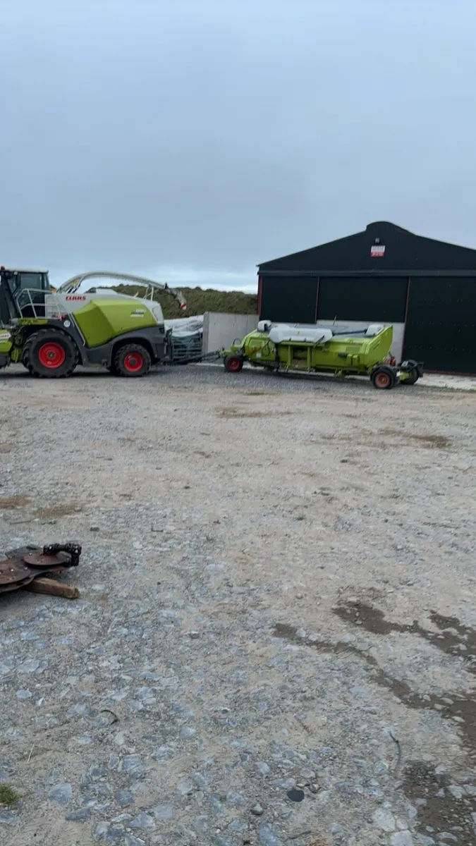 Wholecrop harvesting for hire - Image 1