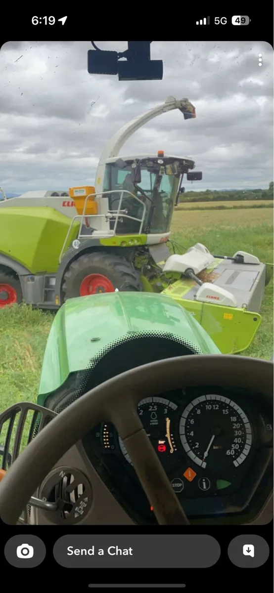 Wholecrop harvesting for hire - Image 2