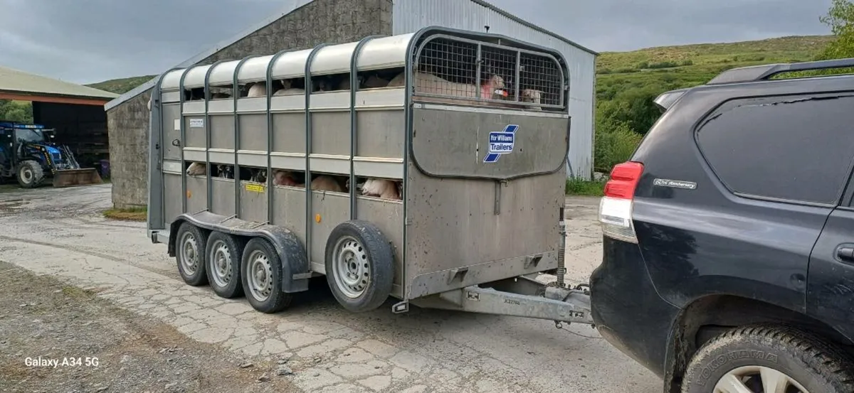 Ifor Williams 14ft Trailer 2018 - Image 4