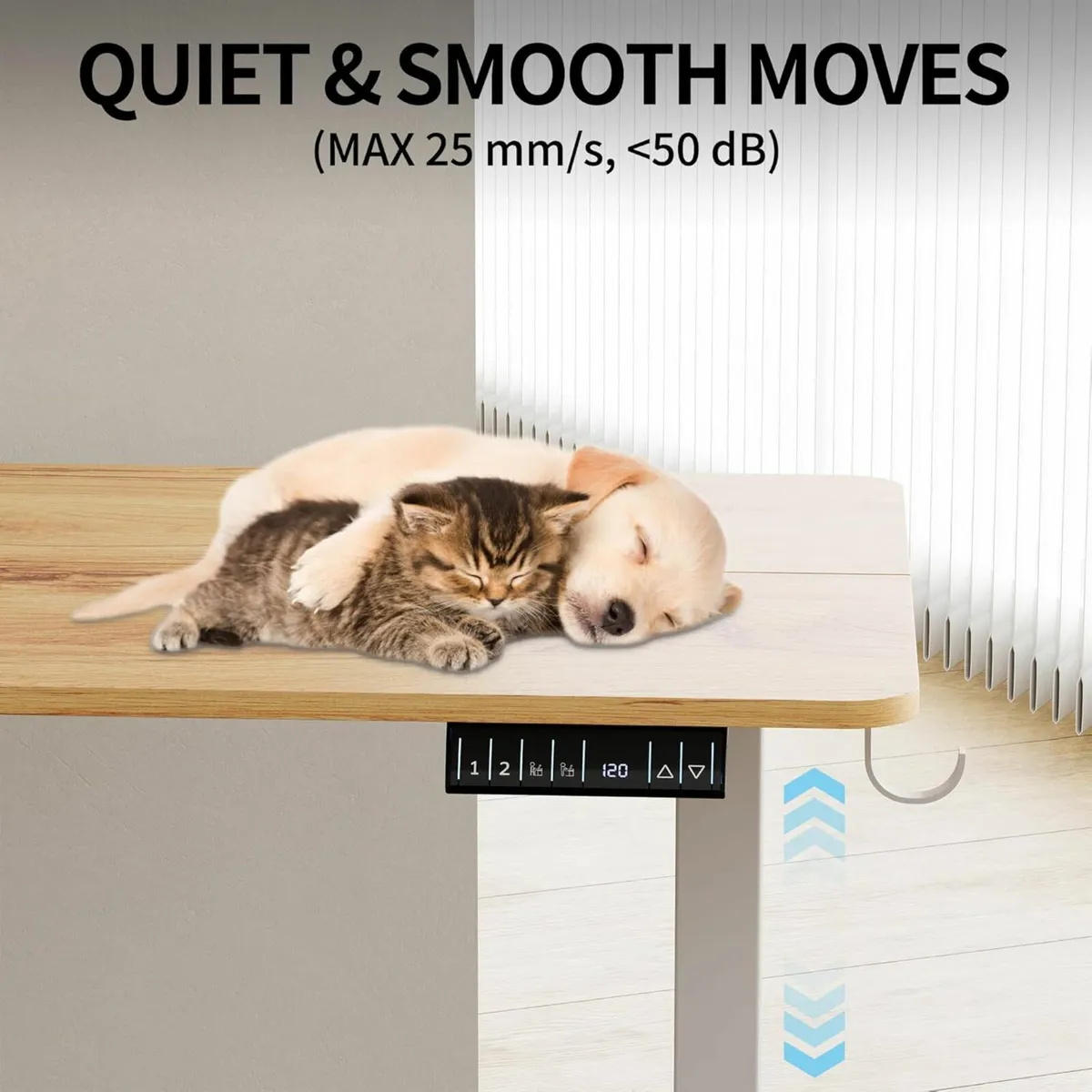 Adjustable Electric Standing Office Desk 100x60 cm - Image 4