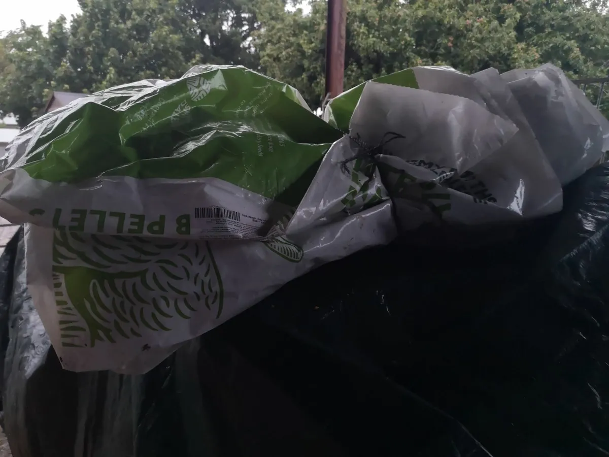 Plastic bags - Image 2