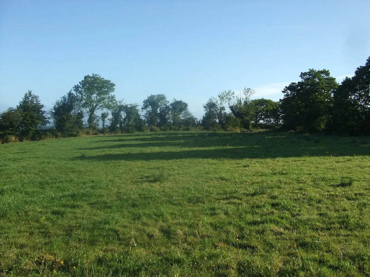 SITE - Image 1