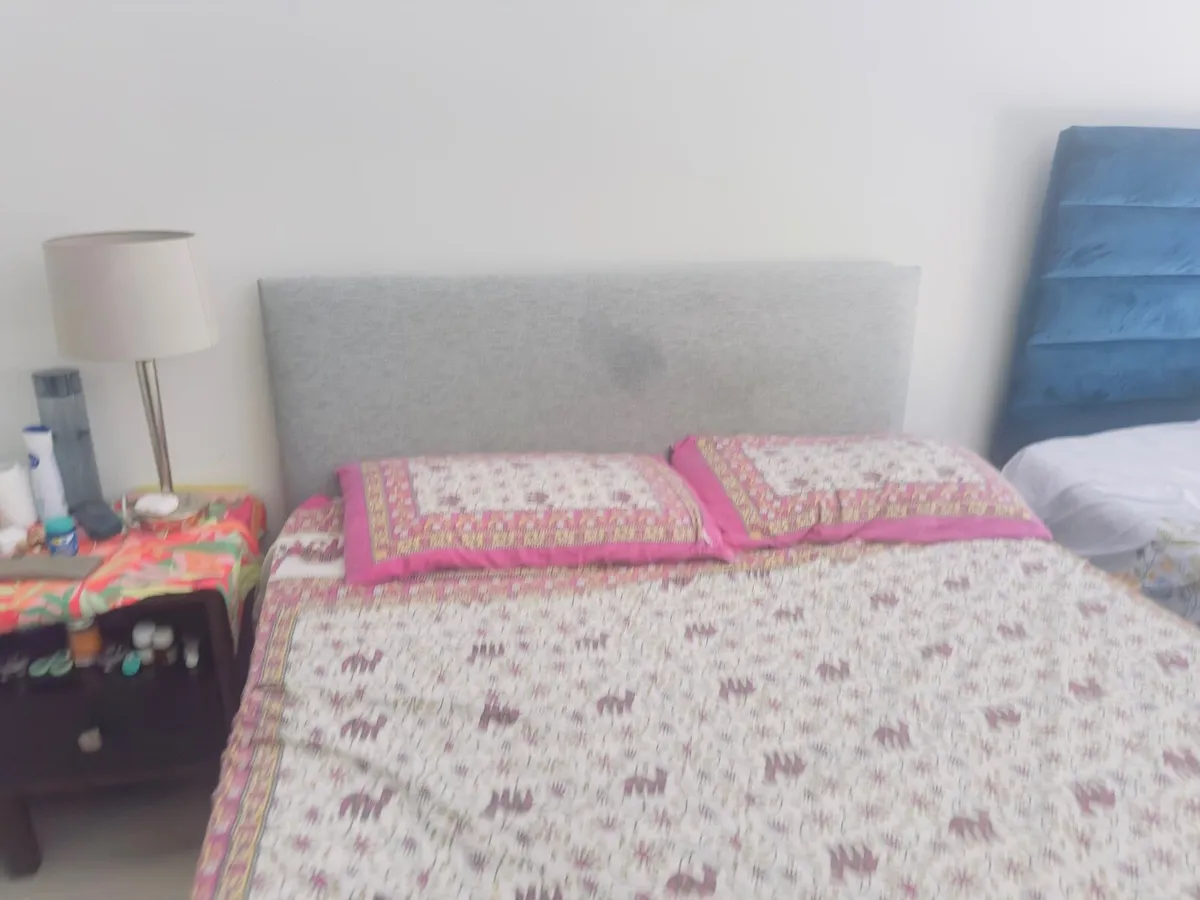 Queen Size bed - free to go - Image 3