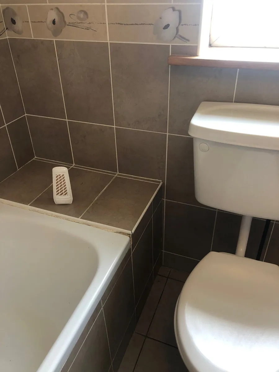 Room 4 rent in King James’ Brehon Carlanstown - Image 2