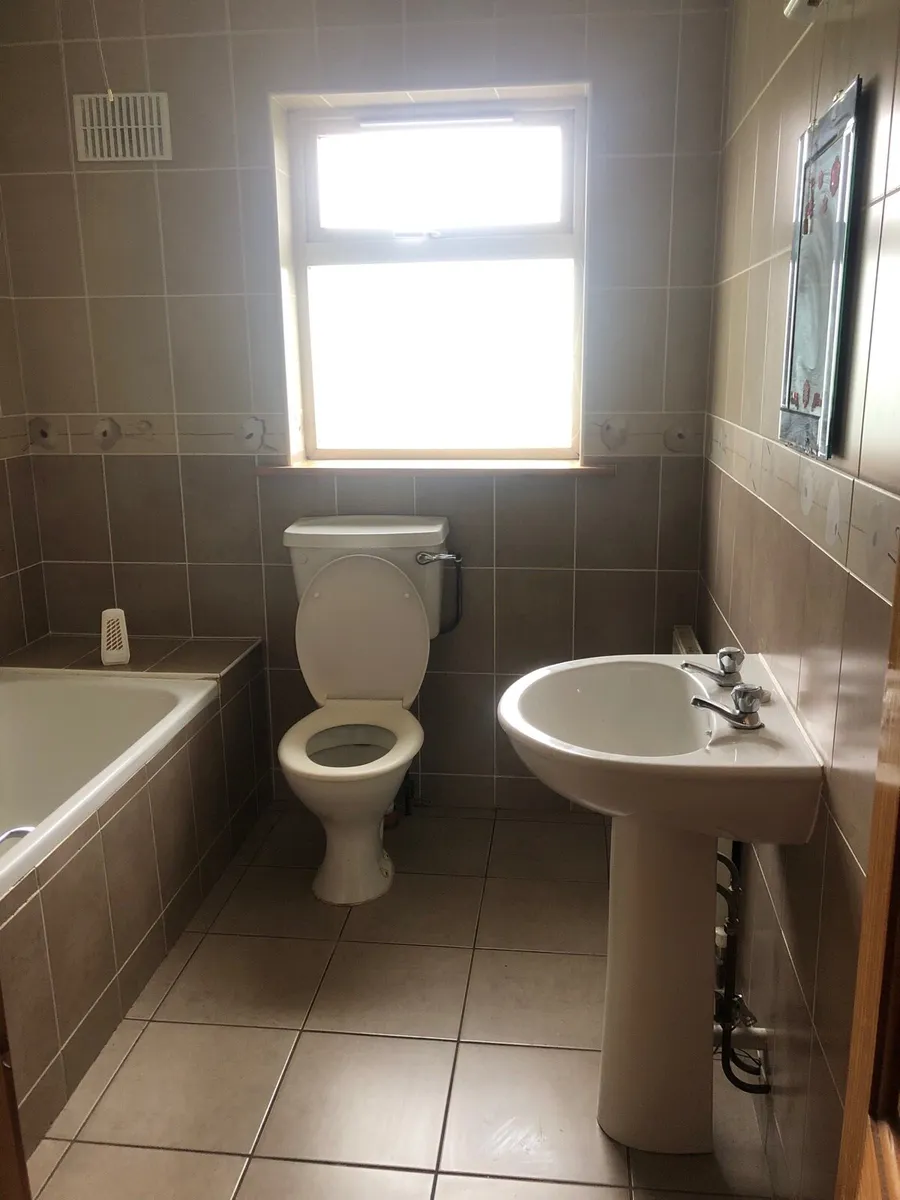 Room 4 rent in King James’ Brehon Carlanstown - Image 4