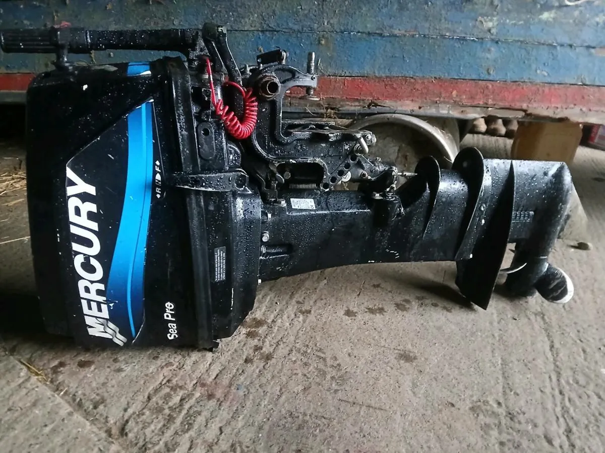 25 mercury  2 stroke - Image 1