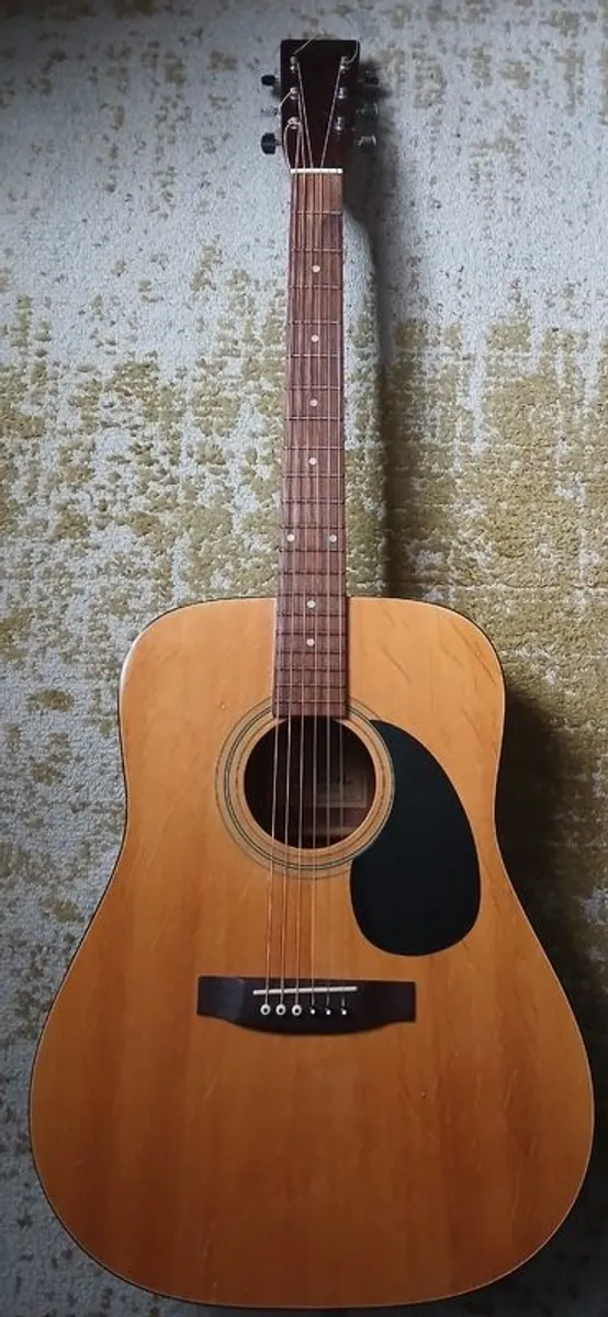 Acoustic Pro Session Guitar - Image 1