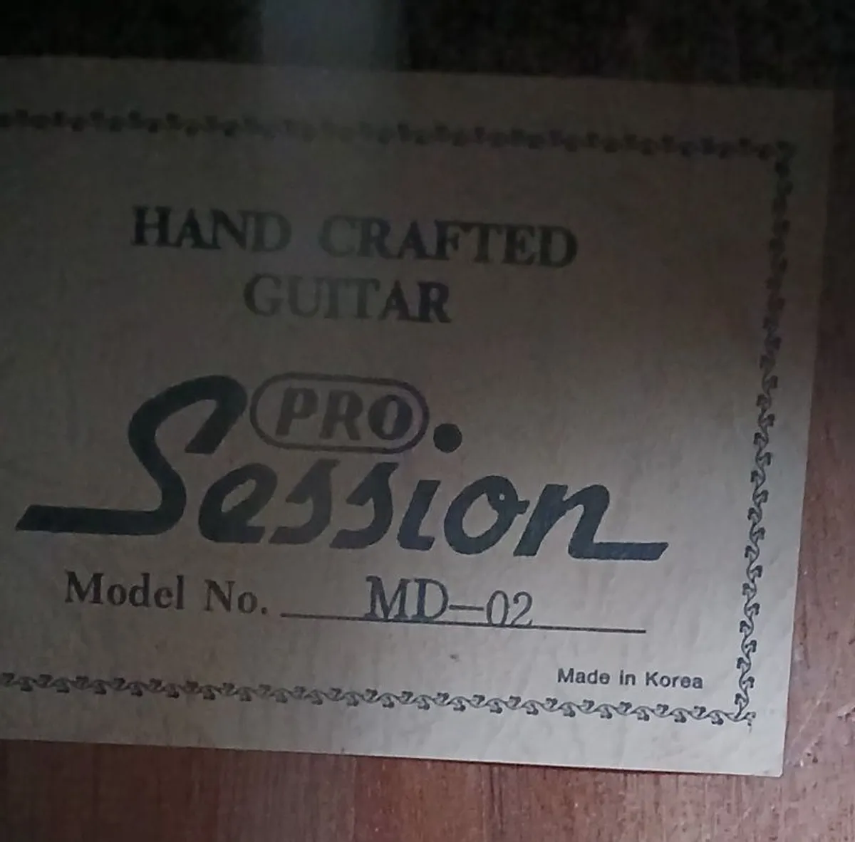 Acoustic Pro Session Guitar - Image 2