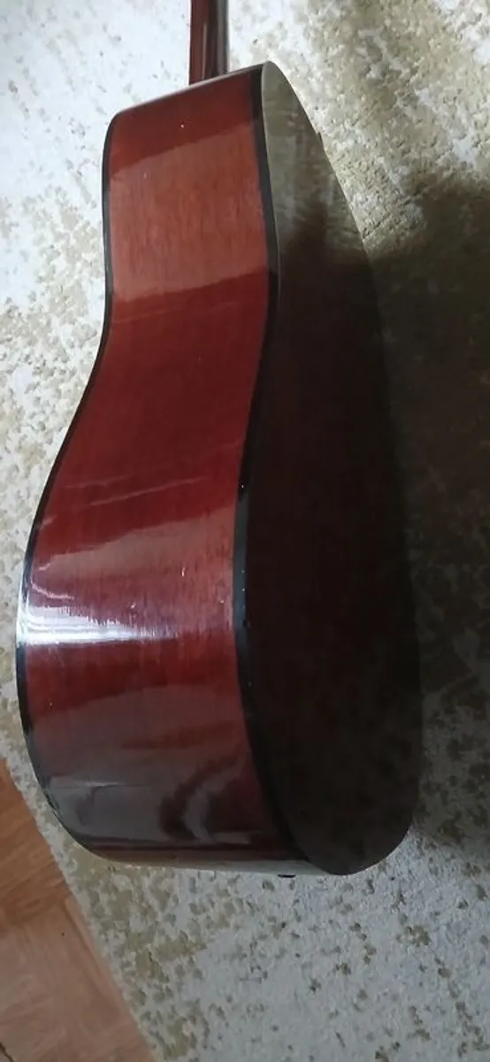 Acoustic Pro Session Guitar - Image 4