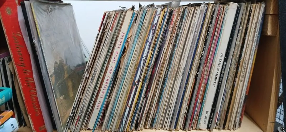 100 Vinyl Records - Image 1