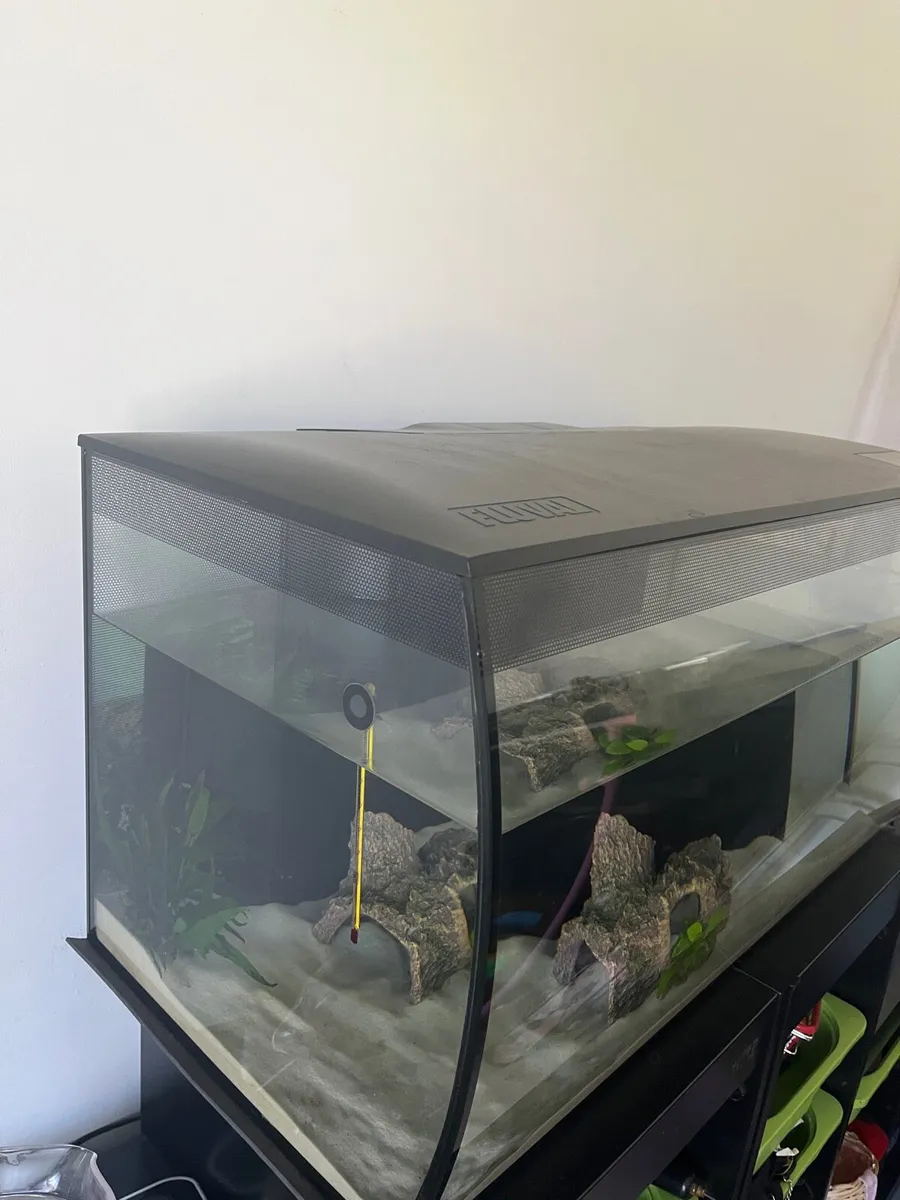 Fish Tank - Image 1