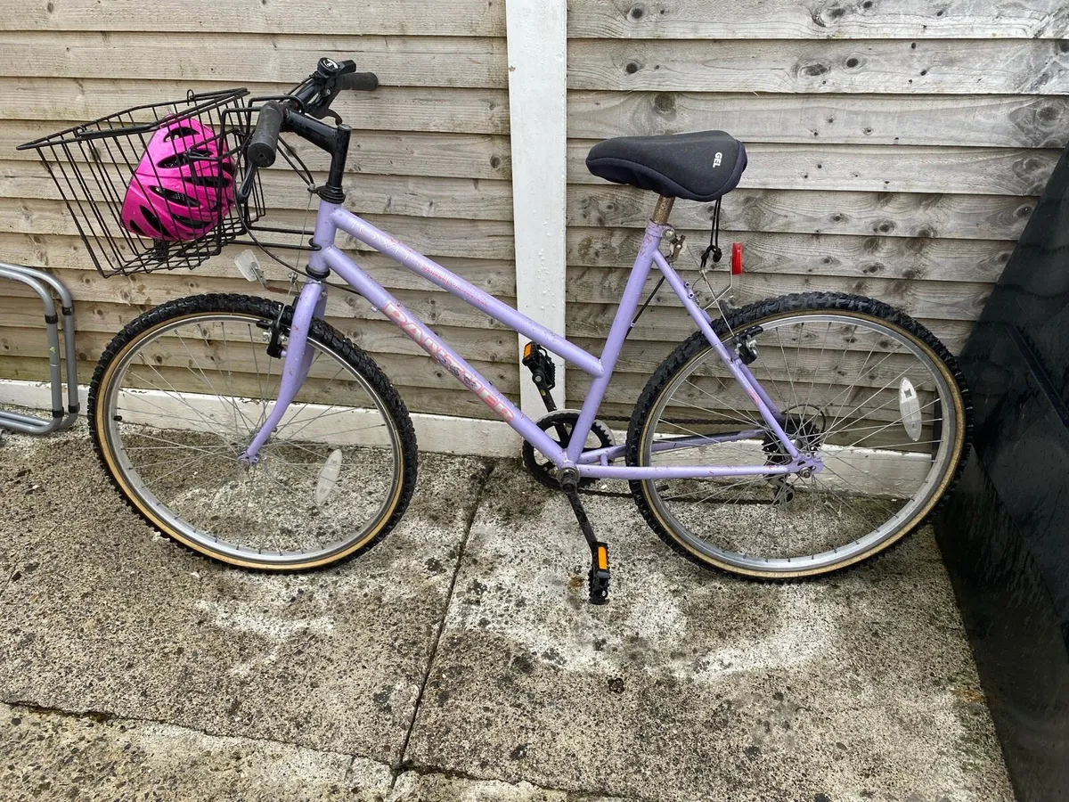 Bicycles for Free - Image 1