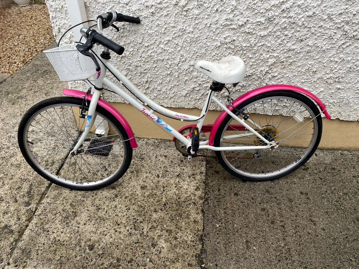 Bicycles for Free - Image 2