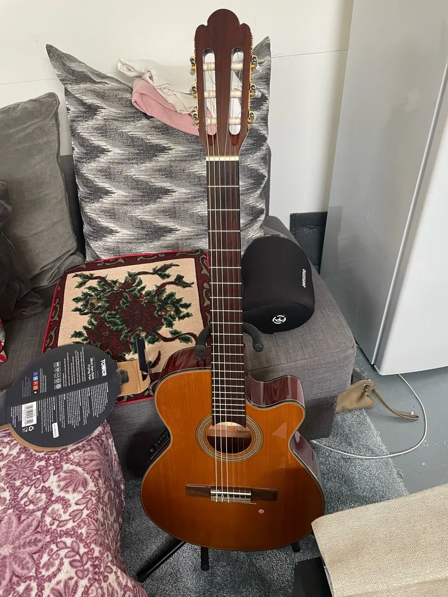 Guitar - Image 2