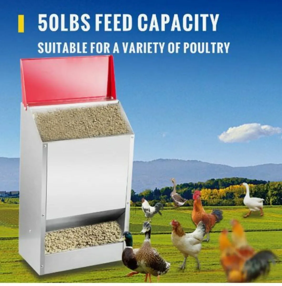 Galvanized Poultry Feeder Chicken - Image 2