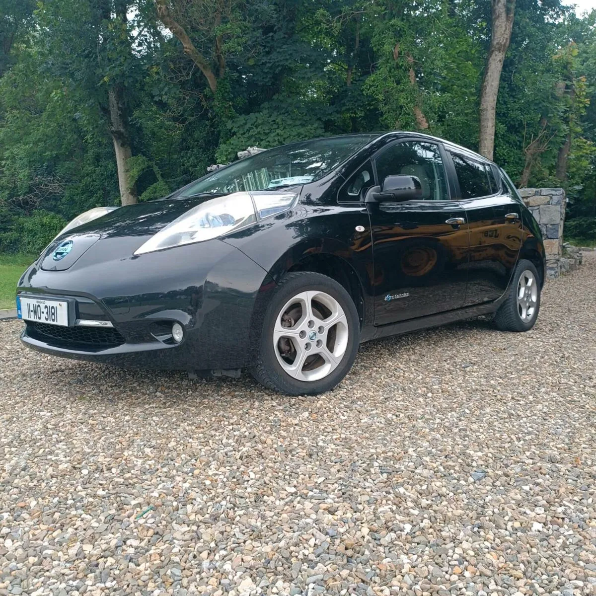 Nissan leaf - Image 1
