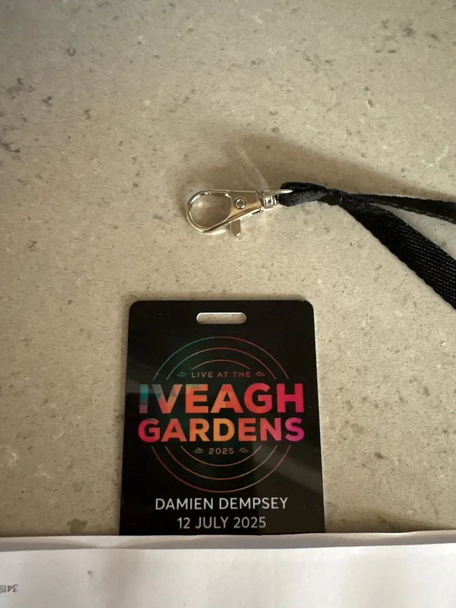 Damien Dempsey Saturday 12th July Oveagh Gardens - Image 1