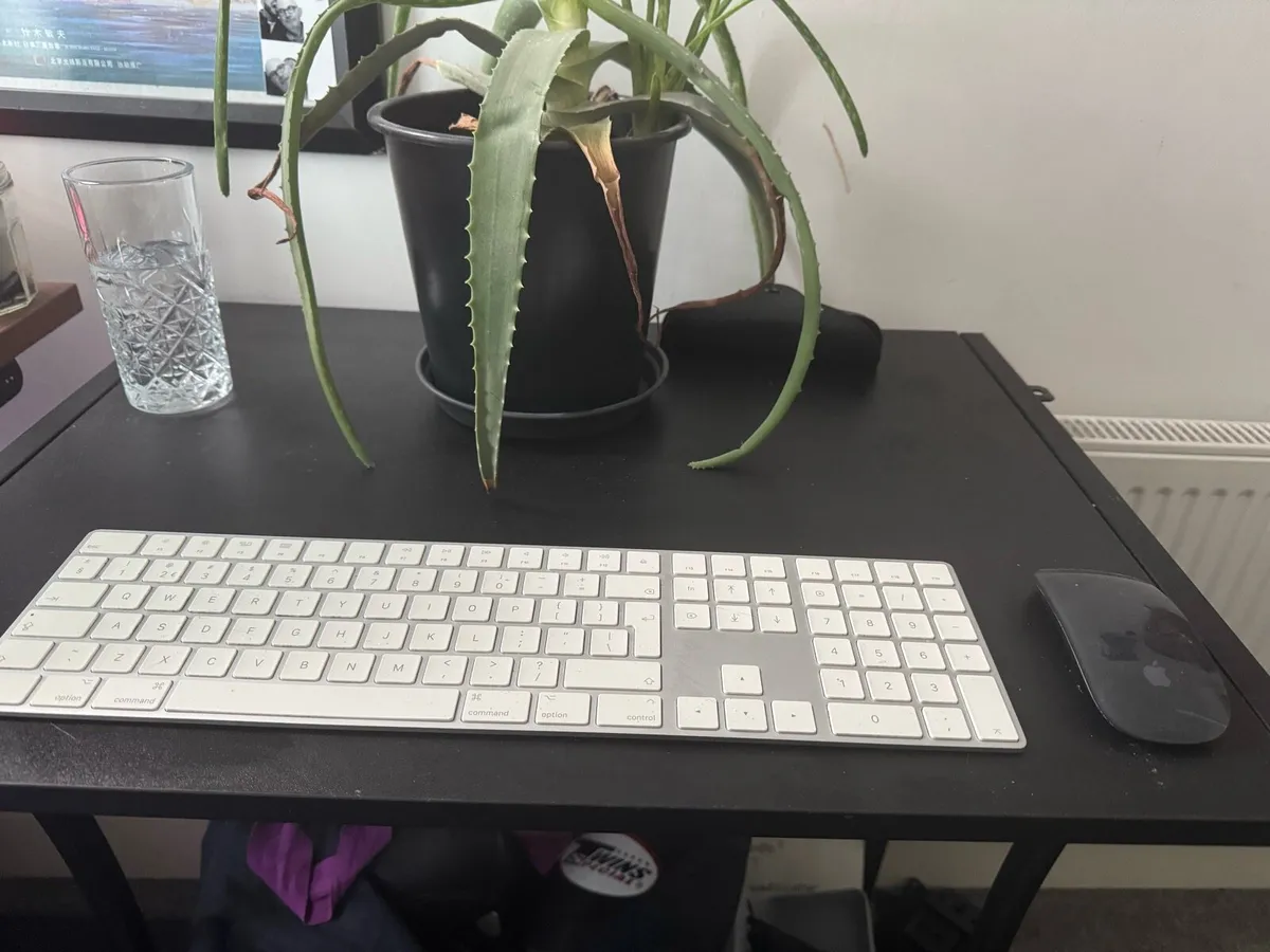 Apple Full size Keyboard - Image 1
