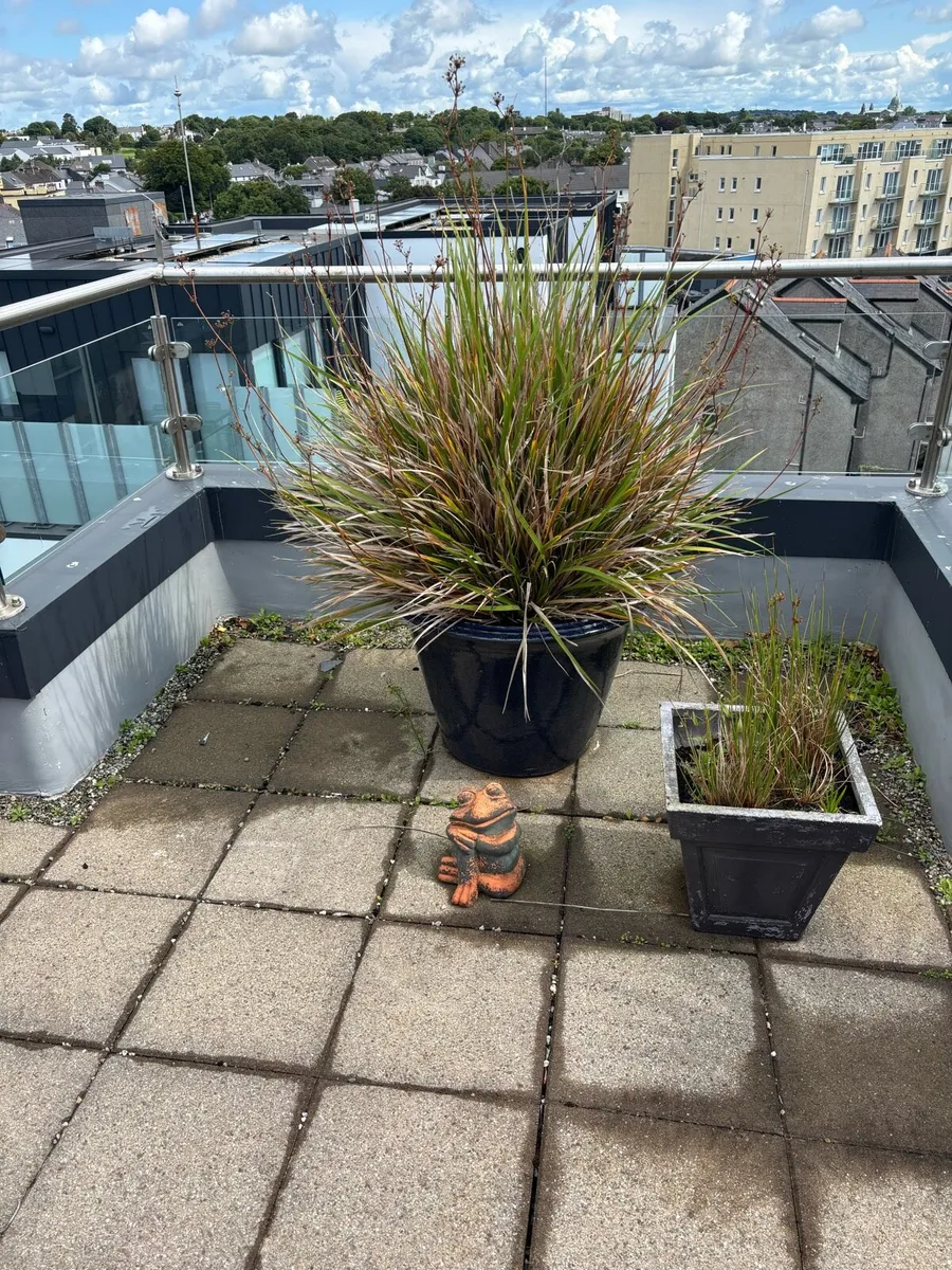 Plant pots - Image 2