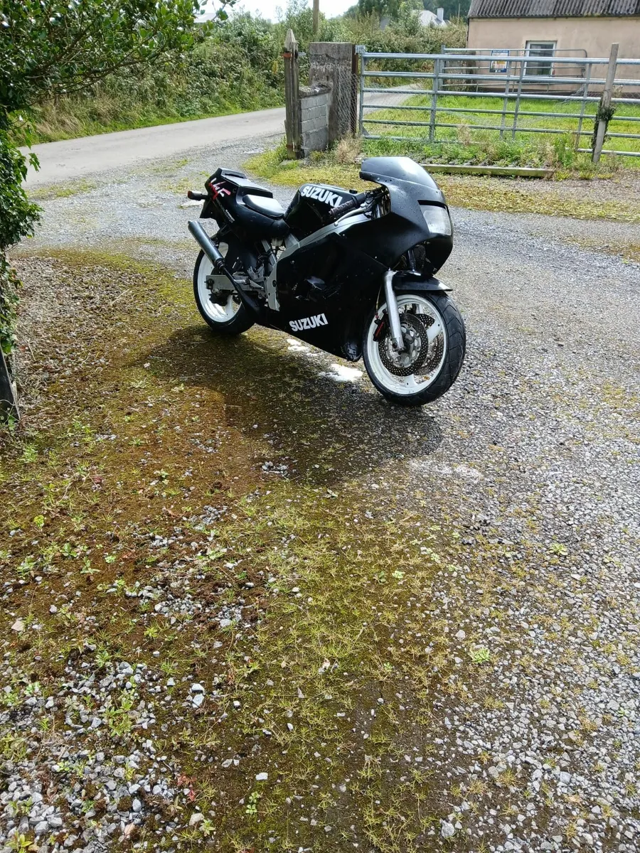 Rgv250 - Image 3