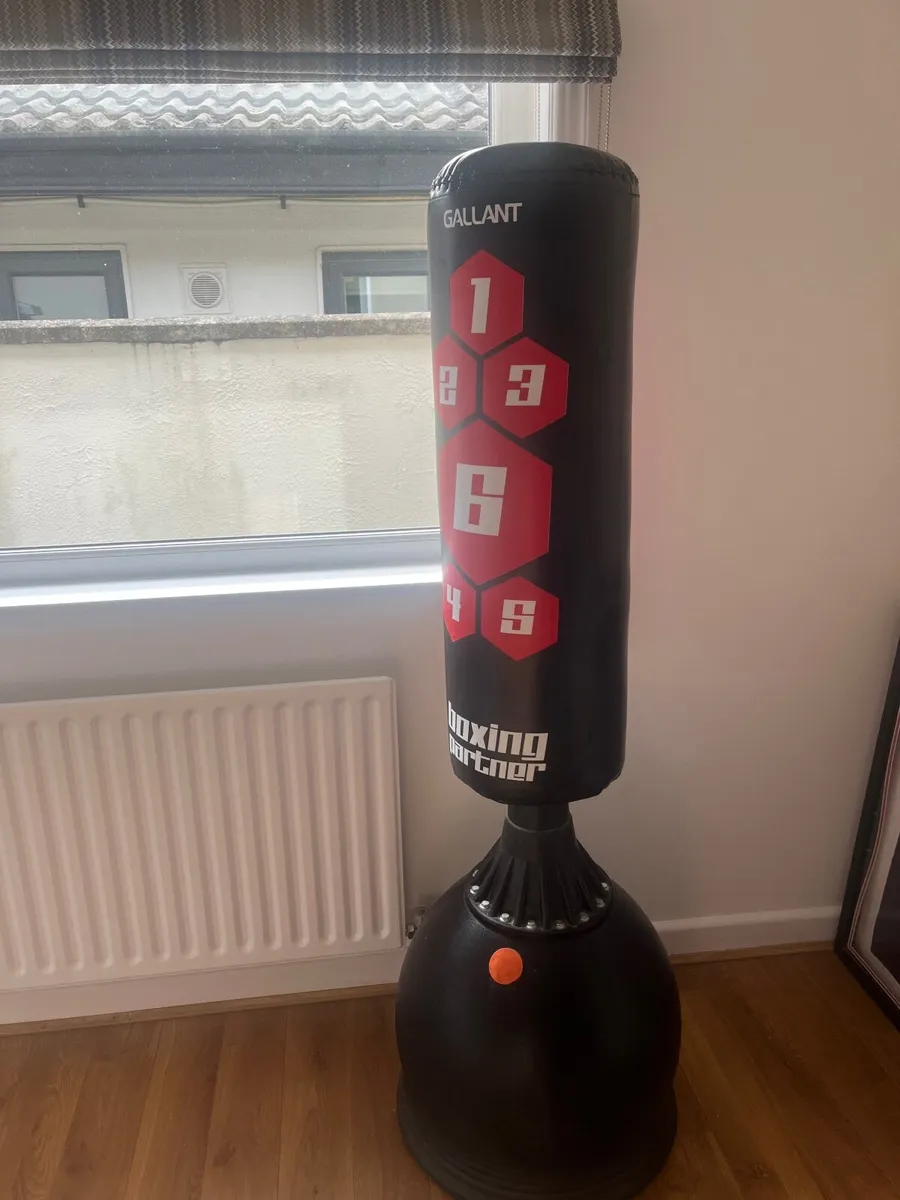 Freestanding punching bag