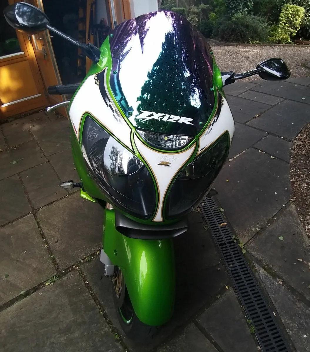 Kawasaki ZX12R 2001 - Image 1
