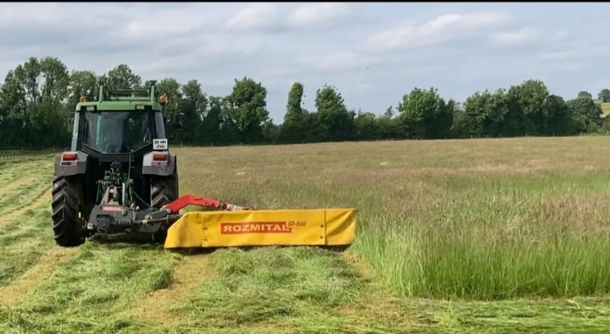 Hay - Image 4