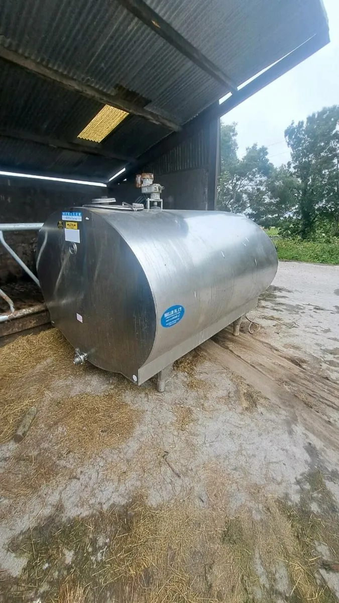 Milk - Image 1