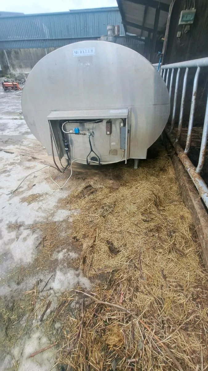 Milk - Image 2