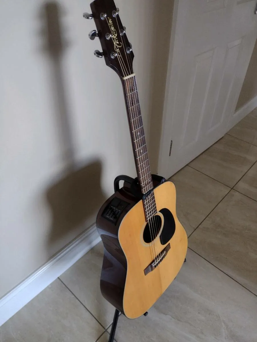 Takamine Guitar - Image 1