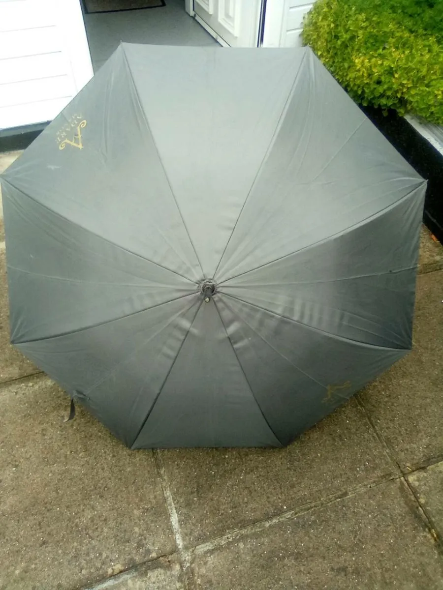 MANS  UMBRELLA - Image 1