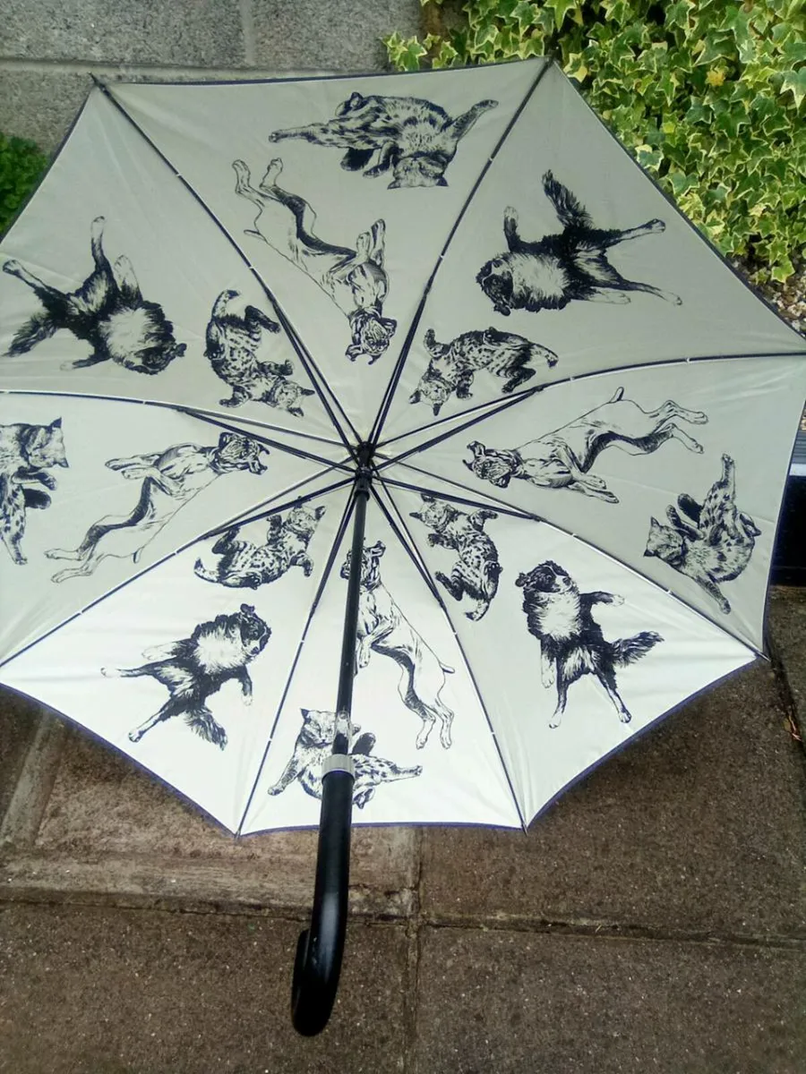 MANS  UMBRELLA - Image 3