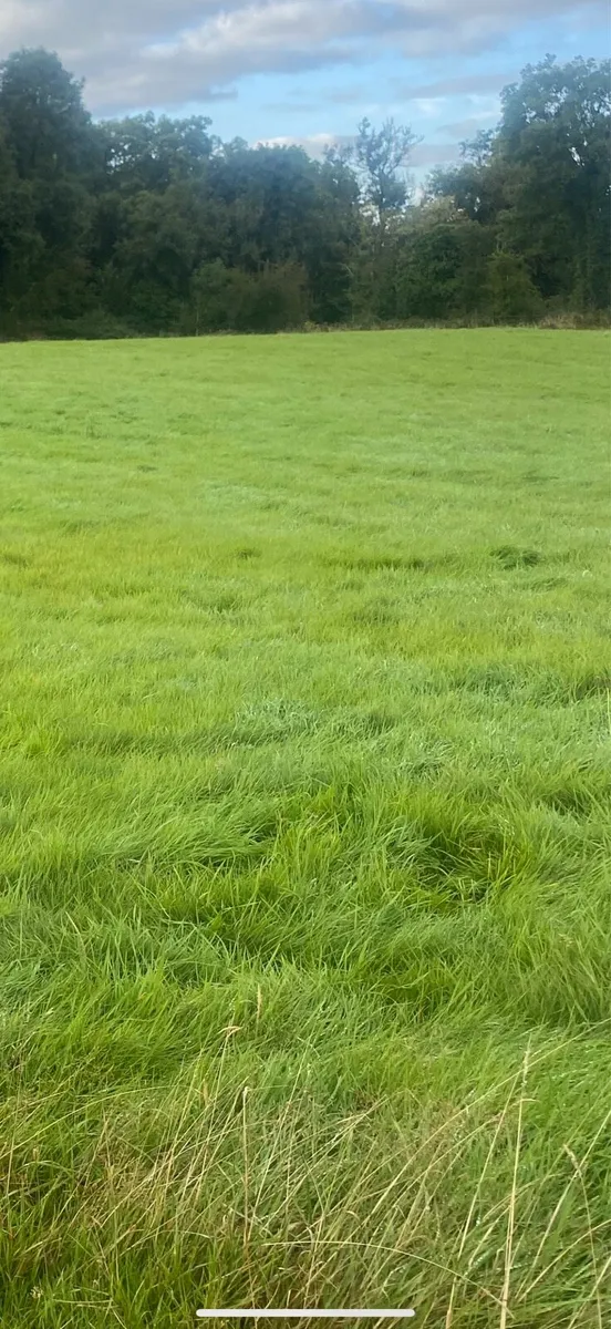 Grass/Grazing/Retirement Livery - Image 1