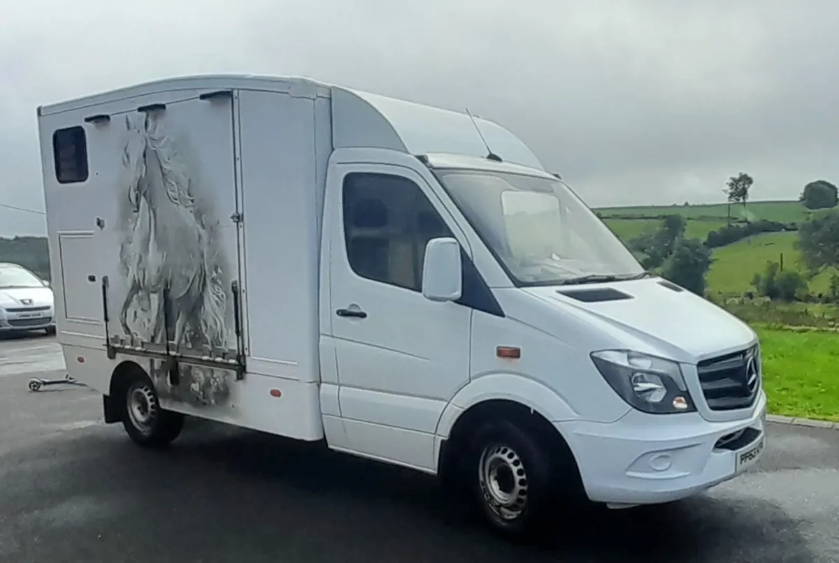 2014 merdedes sprinter horsebox automatic - Image 1
