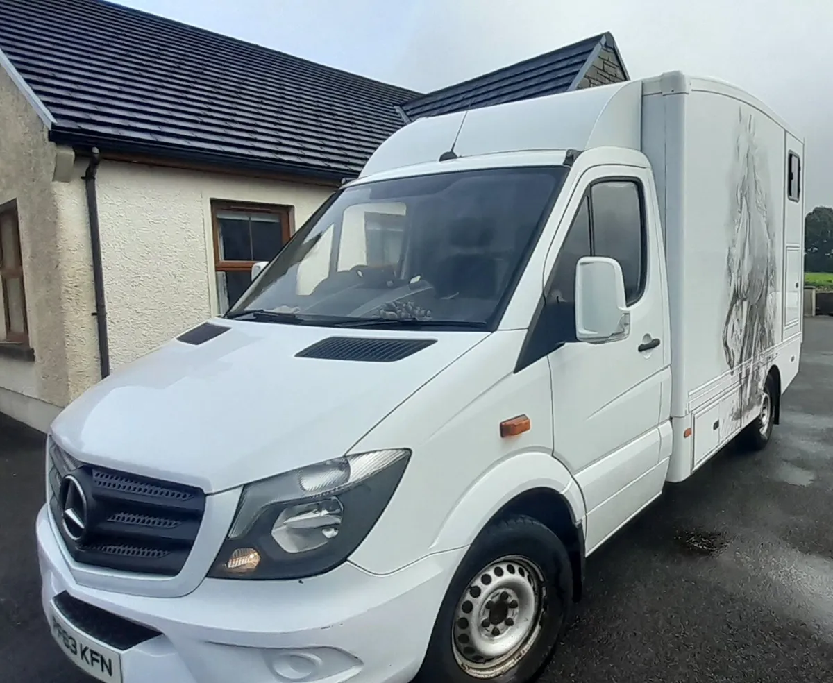 2014 merdedes sprinter horsebox automatic - Image 2