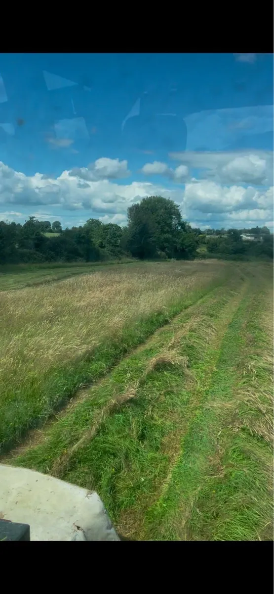 Silage/Haylage - Image 1