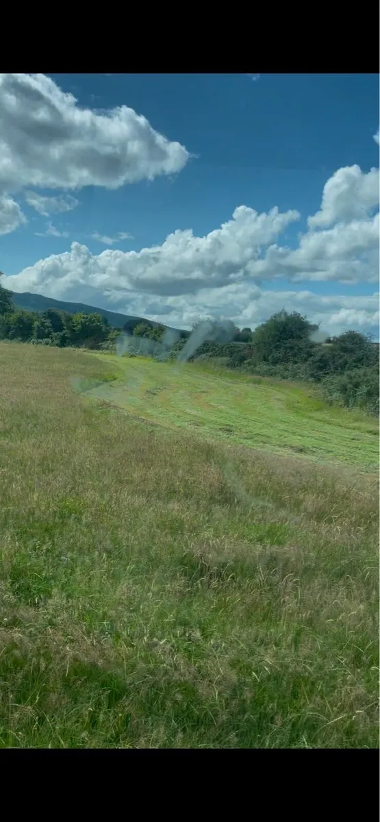 Silage/Haylage - Image 2
