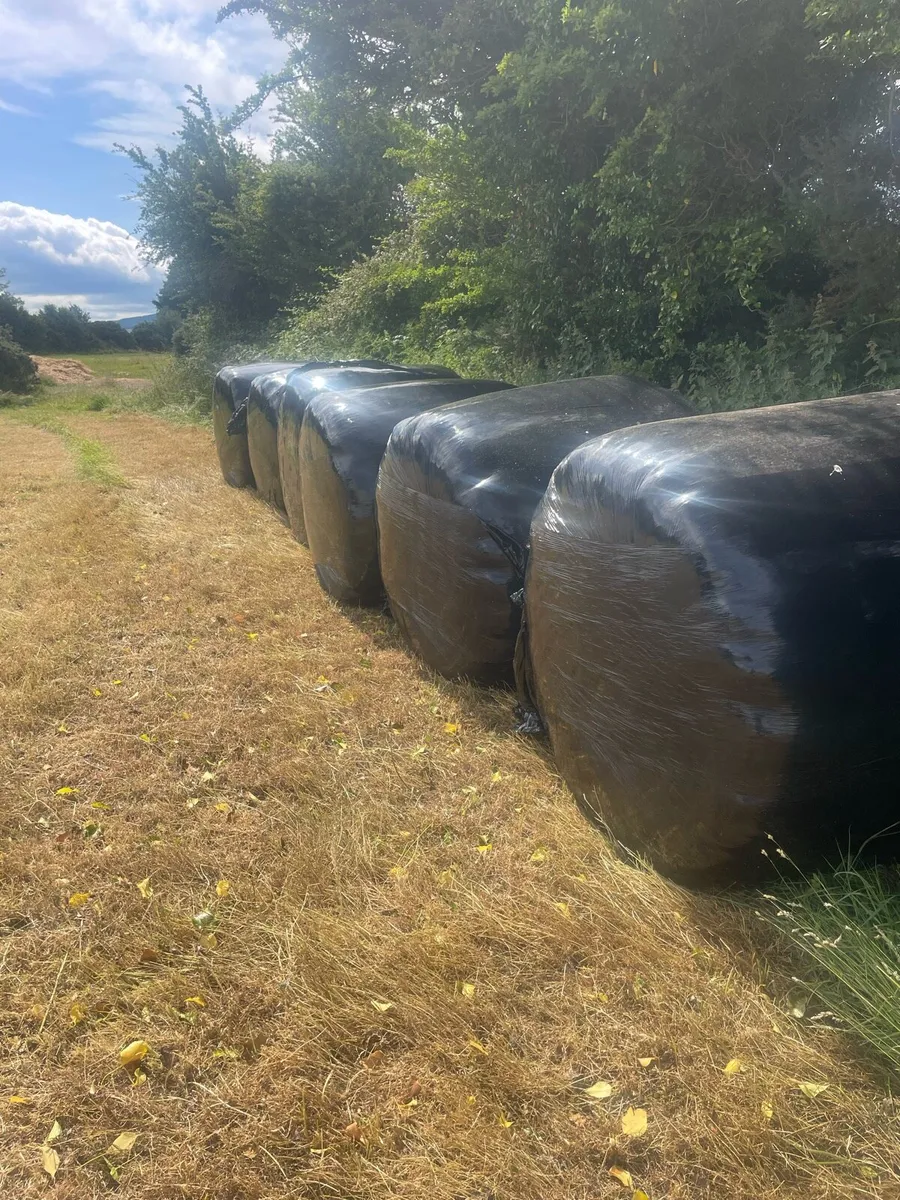 Silage/Haylage - Image 3