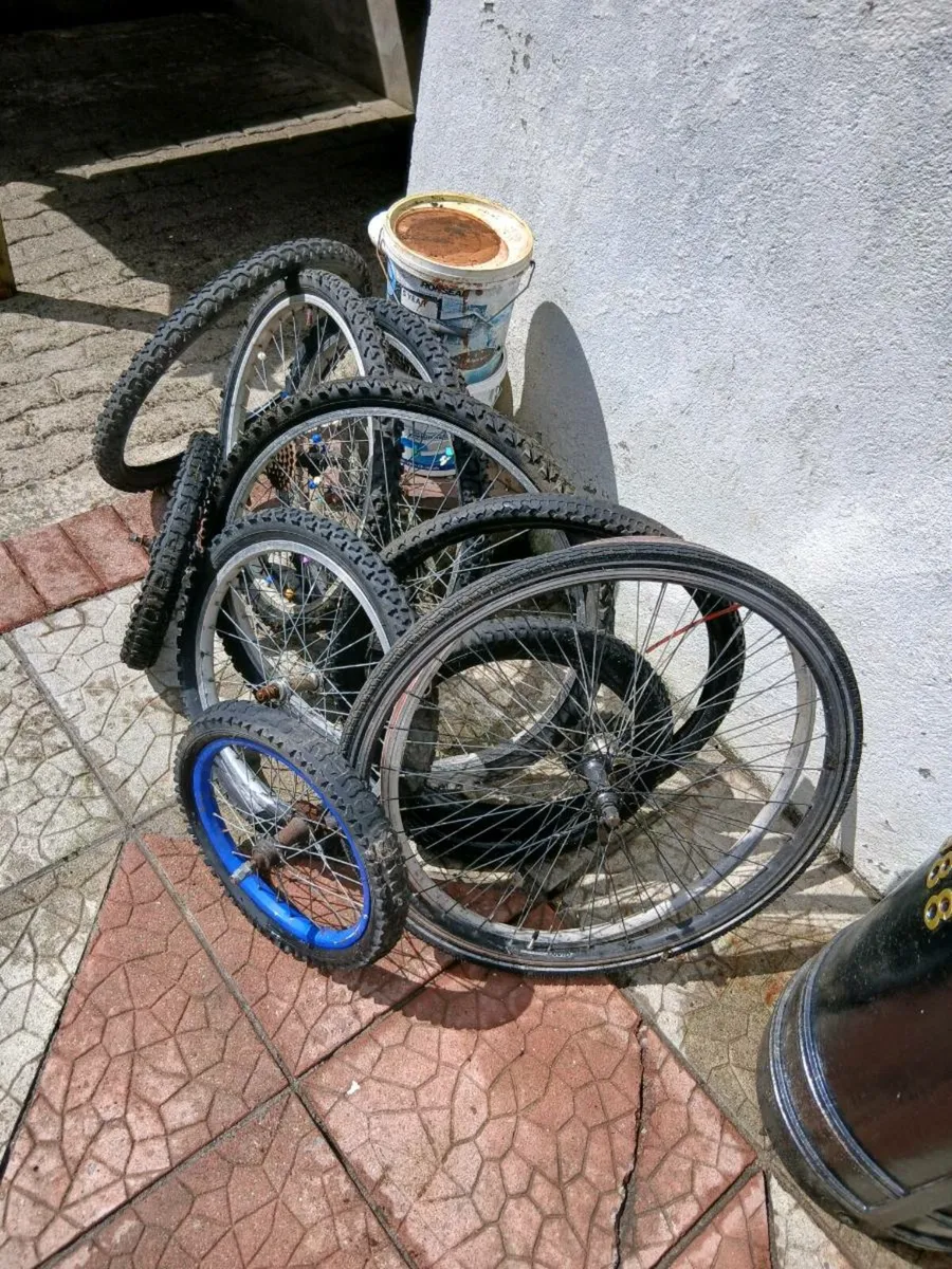 Bicycle wheels - Image 1