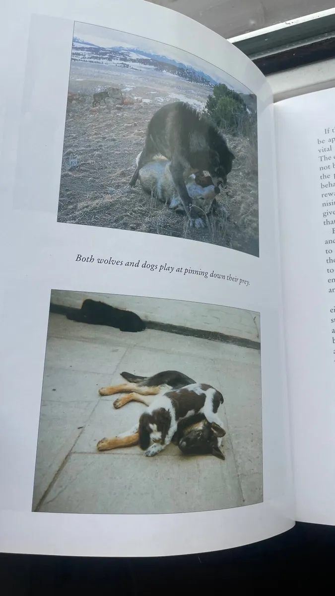 Dog book - Image 3