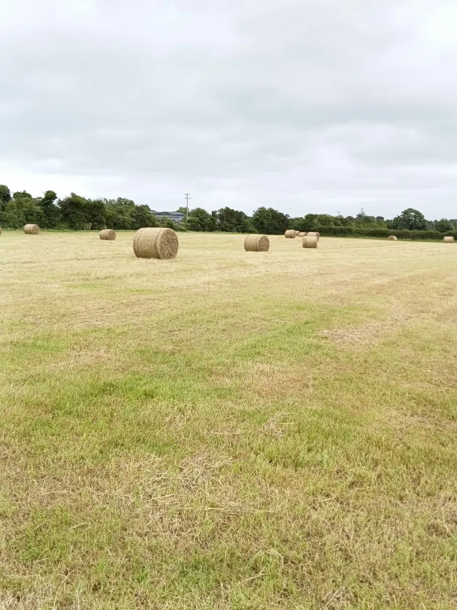Round Hay Bales - Image 1