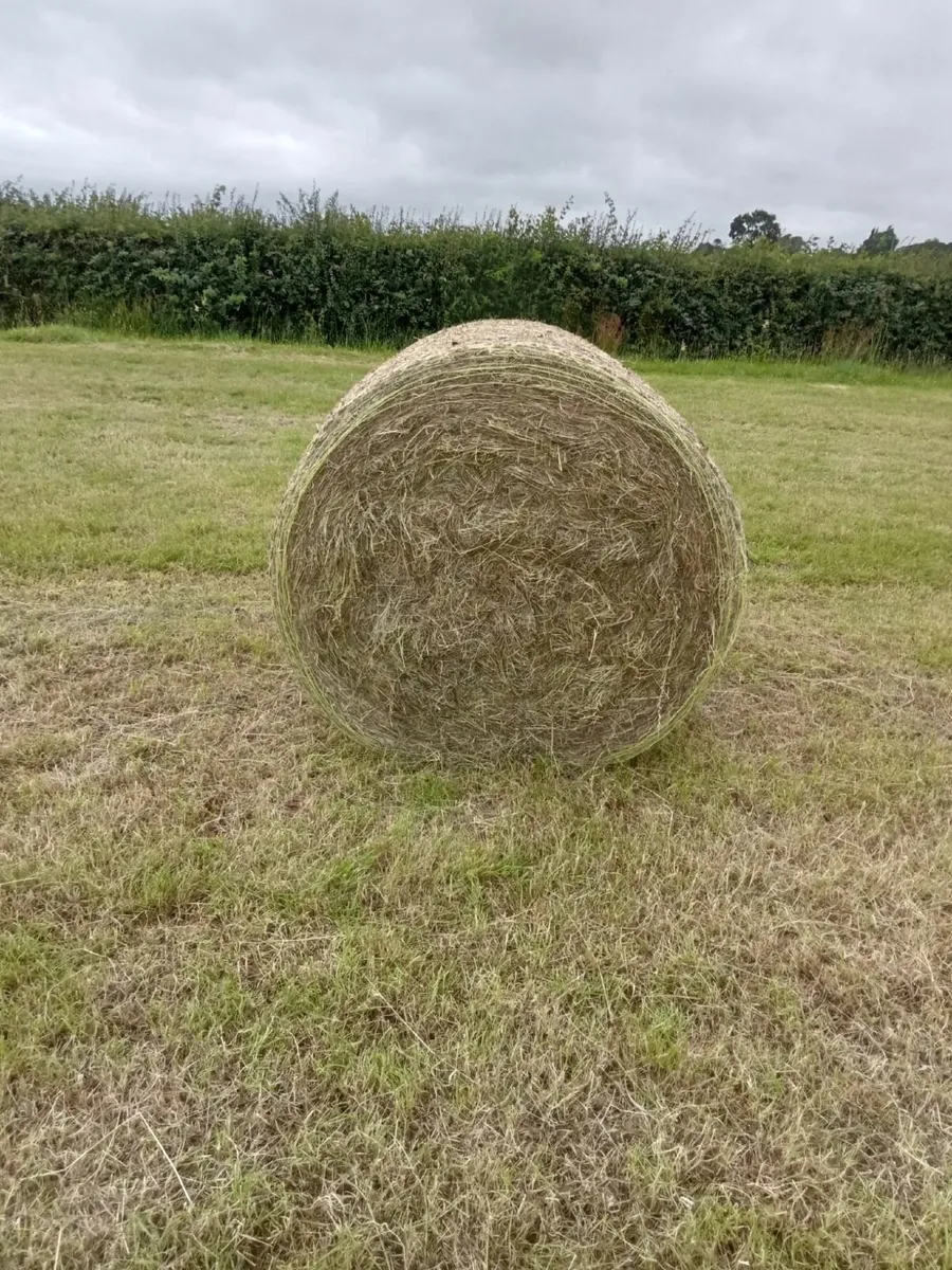 Round Hay Bales - Image 2