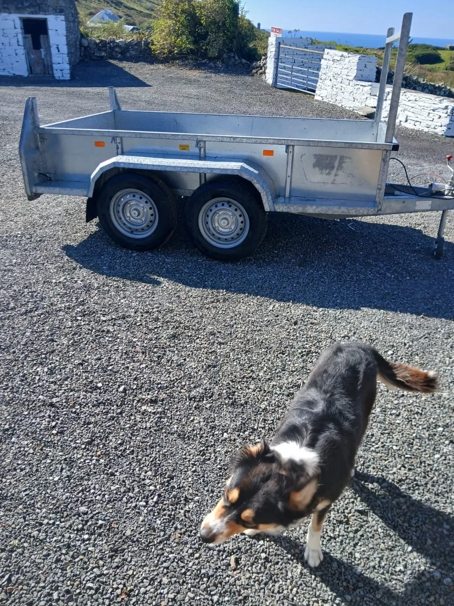 8x4’2 Aerlite trailer for sale - Image 3