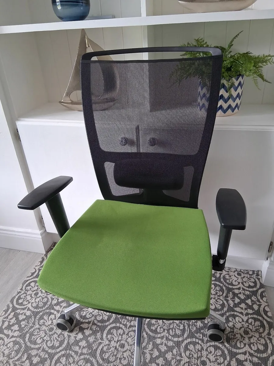 Ergonomic Office Chair - Image 1