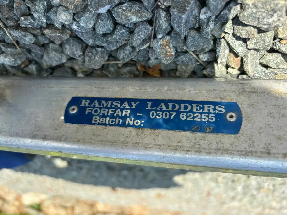 20ft Triple extention ladder & Pointed ladder - Image 2