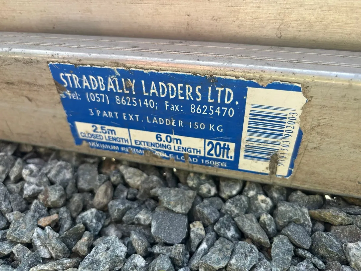 20ft Triple extention ladder & Pointed ladder - Image 3