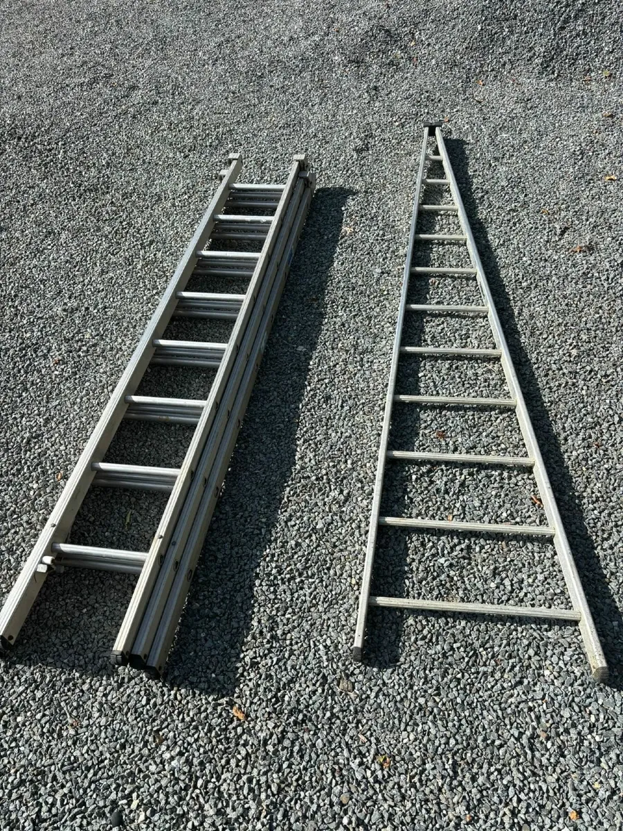 20ft Triple extention ladder & Pointed ladder - Image 1
