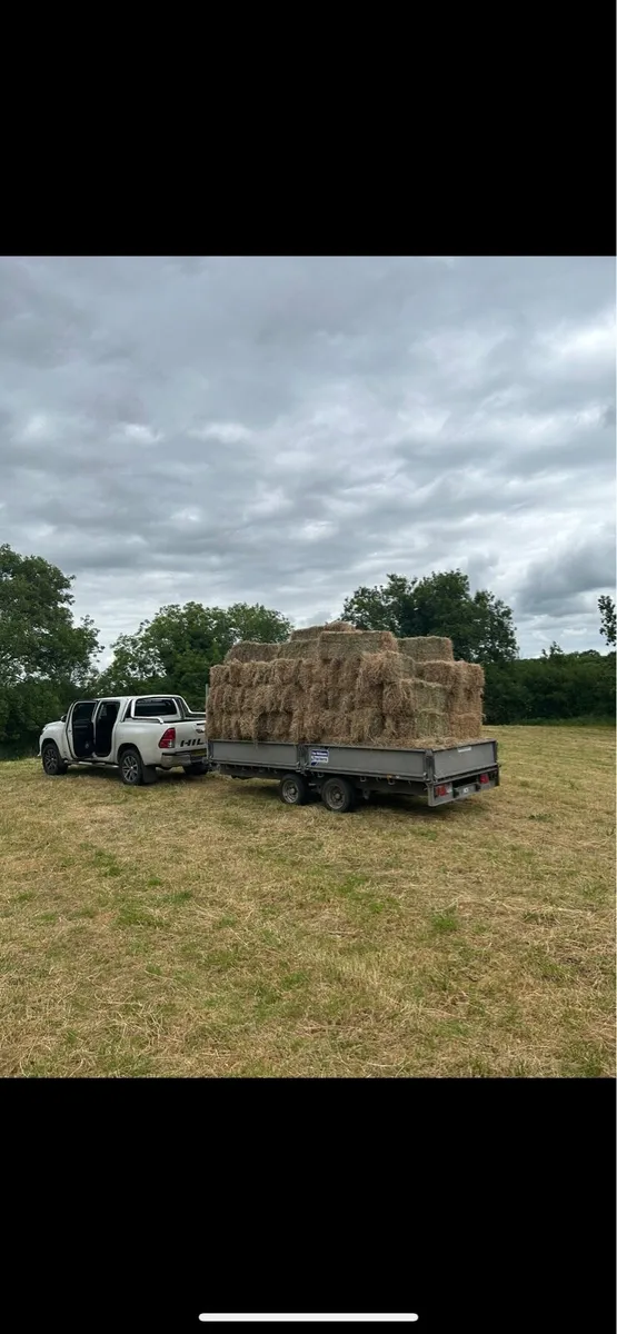 Hay bales - Image 1