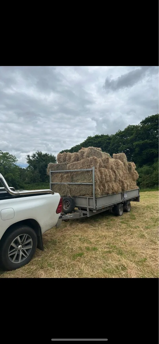 Hay bales - Image 2