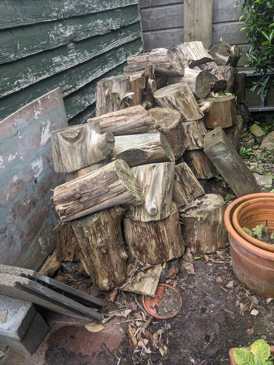 Firewood logs - Image 1